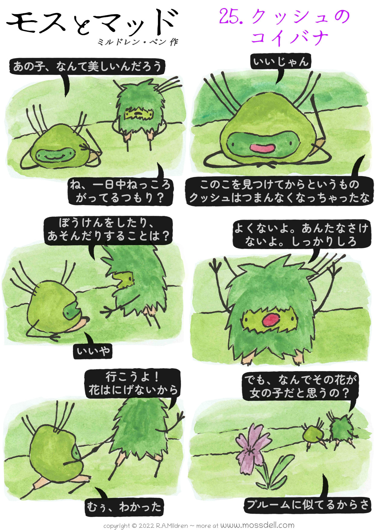 25.　クッシュの コイバナ